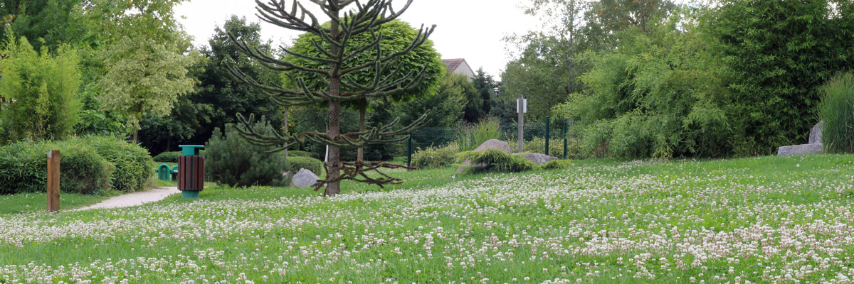 SCENERY mountain`LC-SN-10